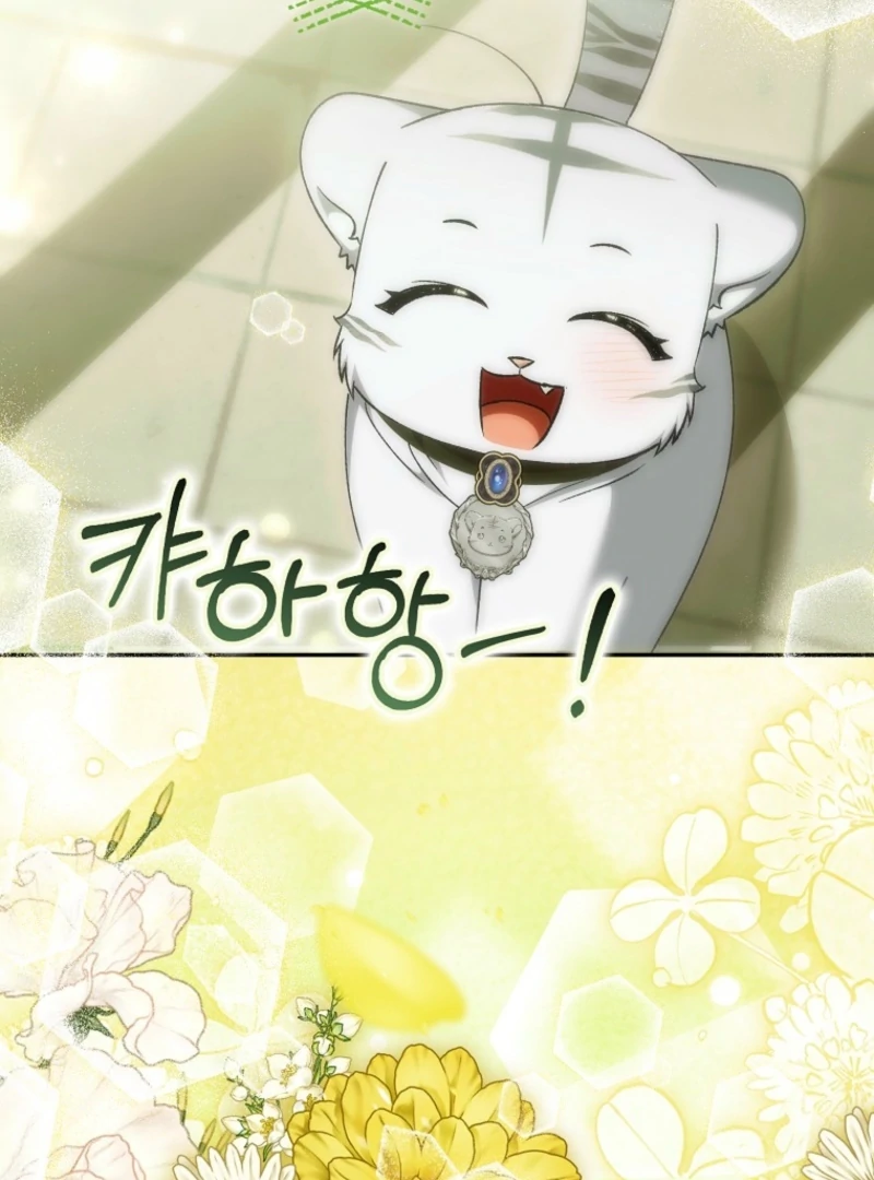 The White Tiger Princess is Not Dangerous Chapter 19 - page 134