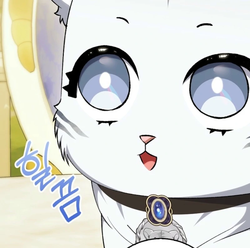 The White Tiger Princess is Not Dangerous Chapter 19 - page 7