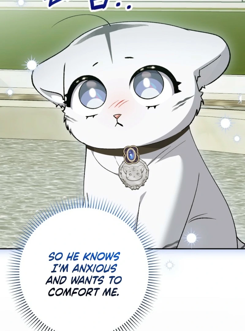 The White Tiger Princess is Not Dangerous Chapter 20 - page 14