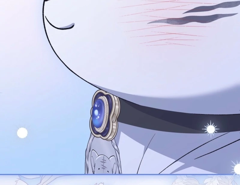 The White Tiger Princess is Not Dangerous Chapter 20 - page 18