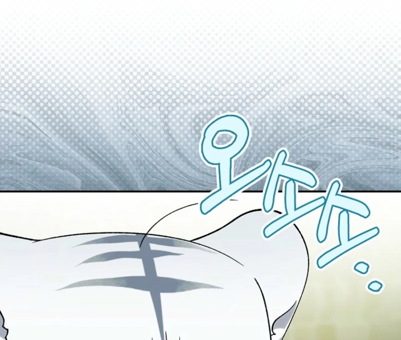 The White Tiger Princess is Not Dangerous Chapter 20 - page 68