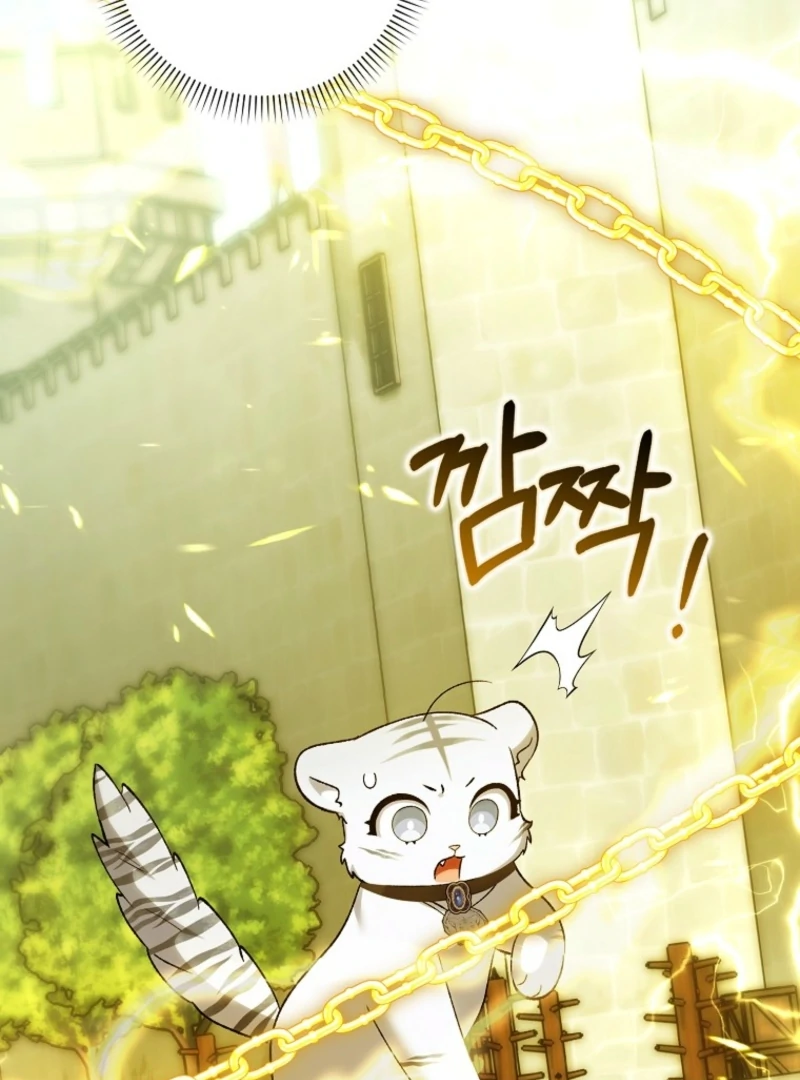 The White Tiger Princess is Not Dangerous Chapter 20 - page 73