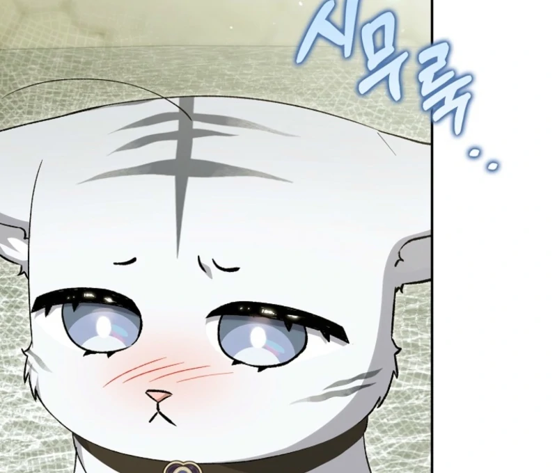 The White Tiger Princess is Not Dangerous Chapter 20 - page 8