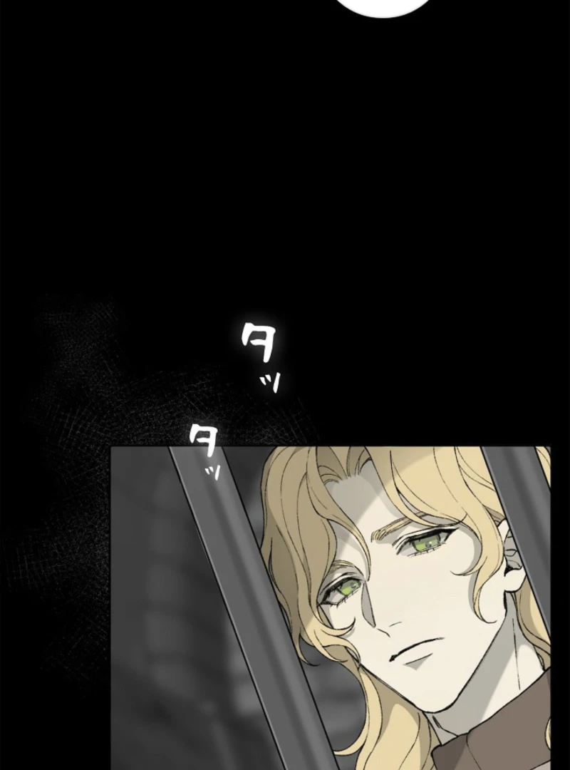 Trapped inside the Ice Emperor’s cage Chapter 1 - page 80
