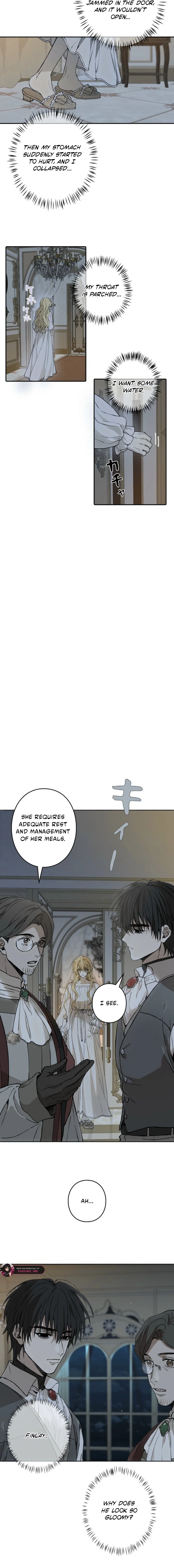 Trapped inside the Ice Emperor’s cage Chapter 11 - page 11