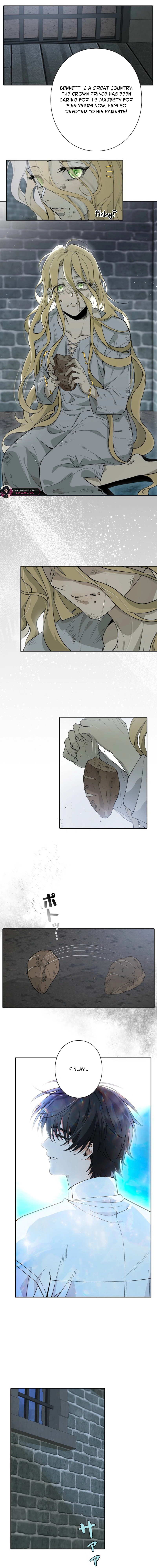 Trapped inside the Ice Emperor’s cage Chapter 2 - page 4