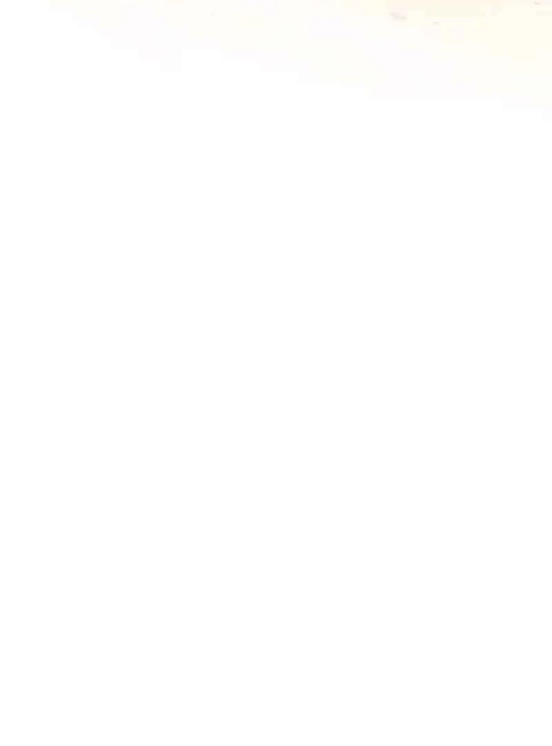 Legacy of the Hidden Disciple Chapter 1 - page 51