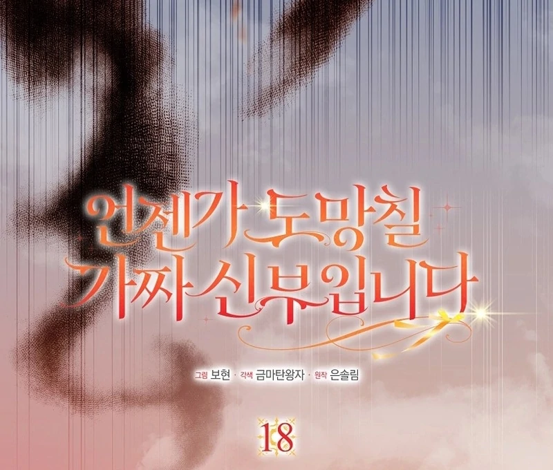 I’m A Fake Bride Who’ll Run Away Someday Chapter 18 - page 49