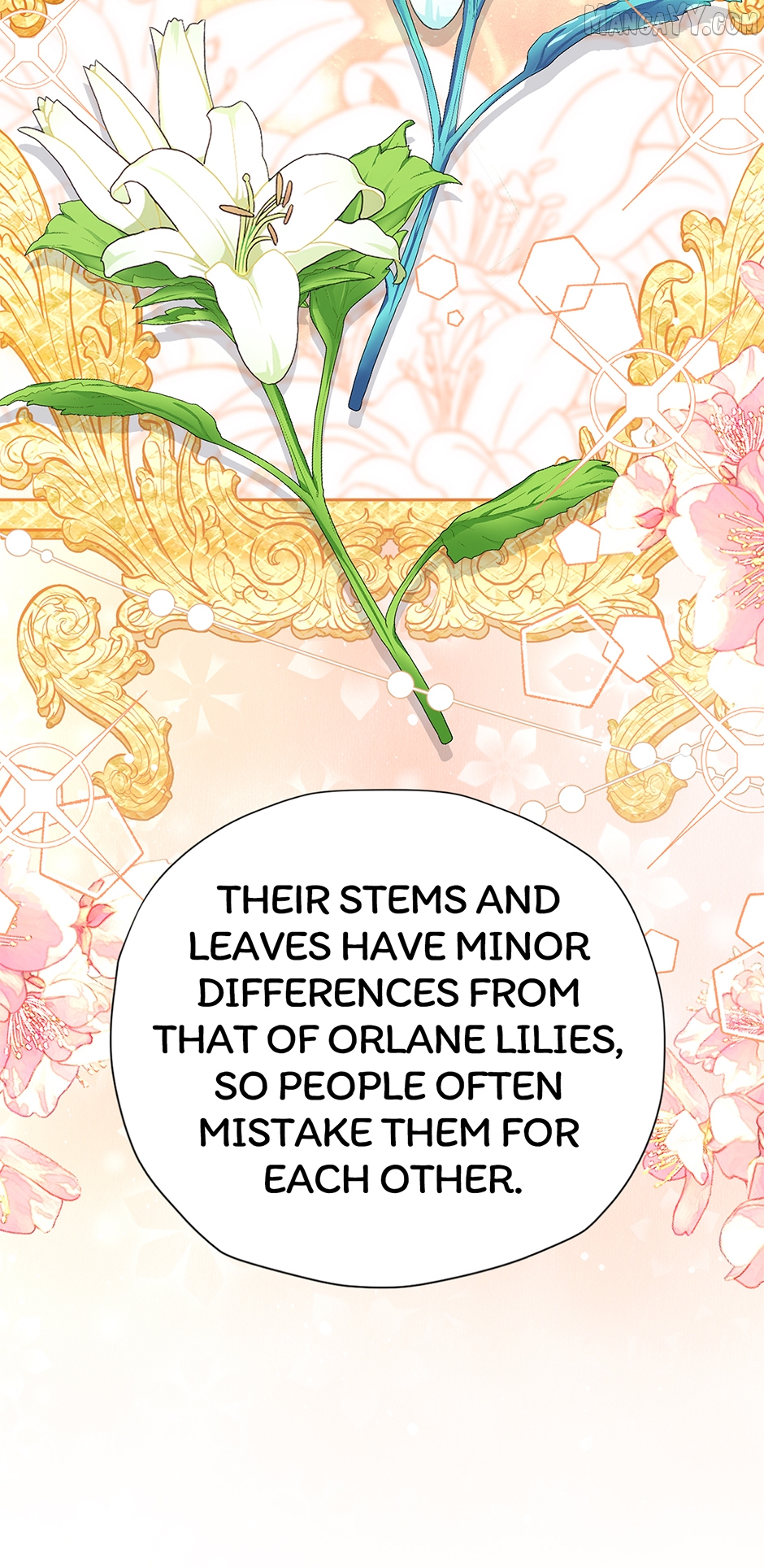 I'm in Love with My Foe Chapter 81 - page 11