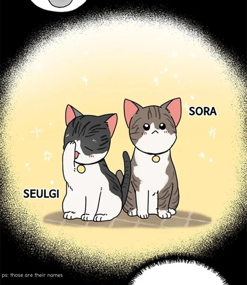 I Became the Chef of the Dragon King Chapter 76 - page 27