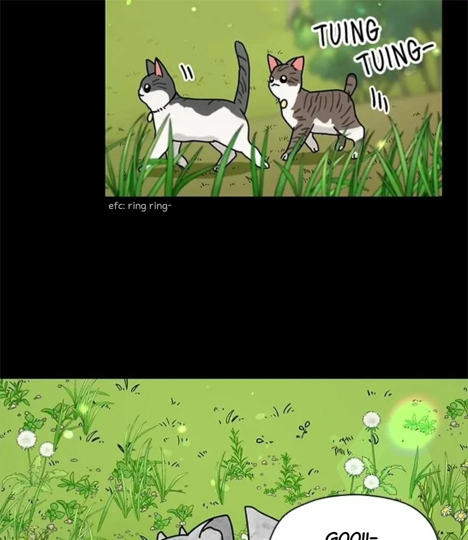 I Became the Chef of the Dragon King Chapter 76 - page 61