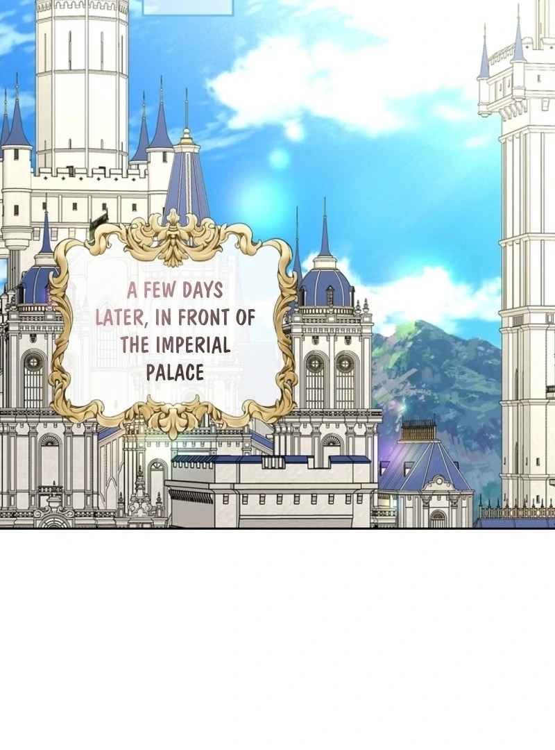 I Will Divorce the Female Lead’s Siscon Brother Chapter 82 - page 105