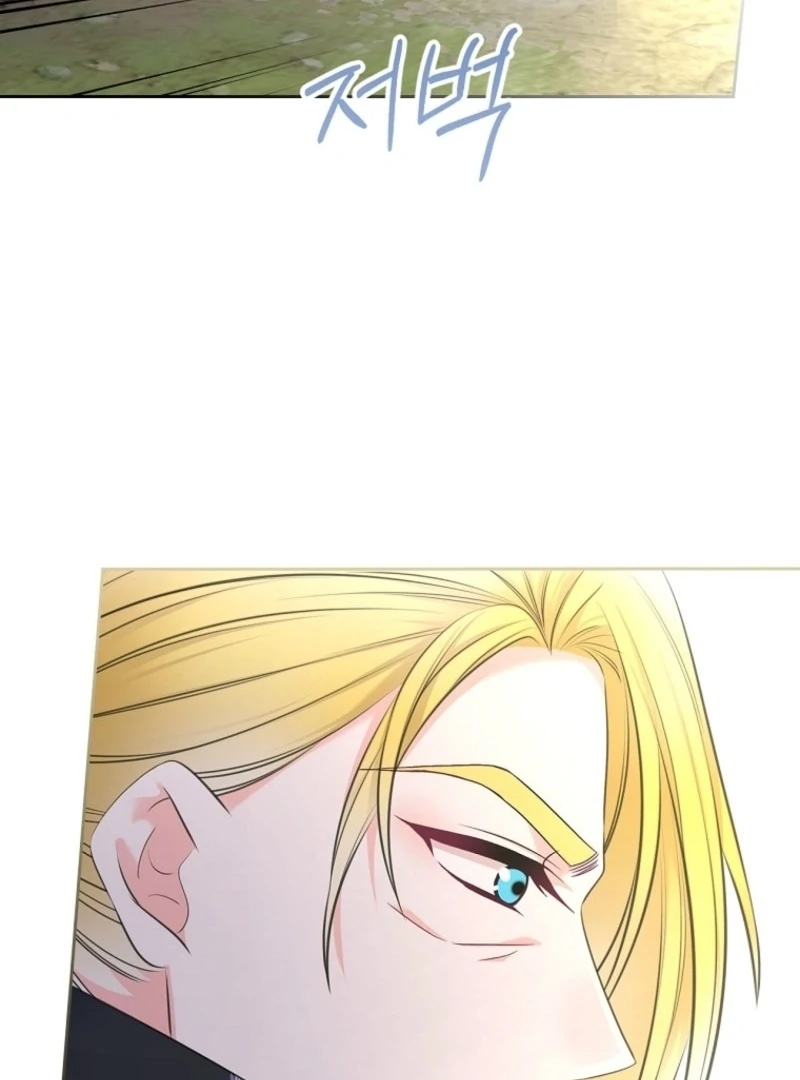 I Will Divorce the Female Lead’s Siscon Brother Chapter 82 - page 44