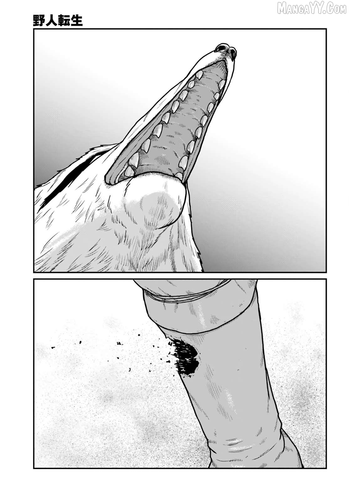 Yajin Tensei: Karate Survivor In Another World Chapter 64 - page 3