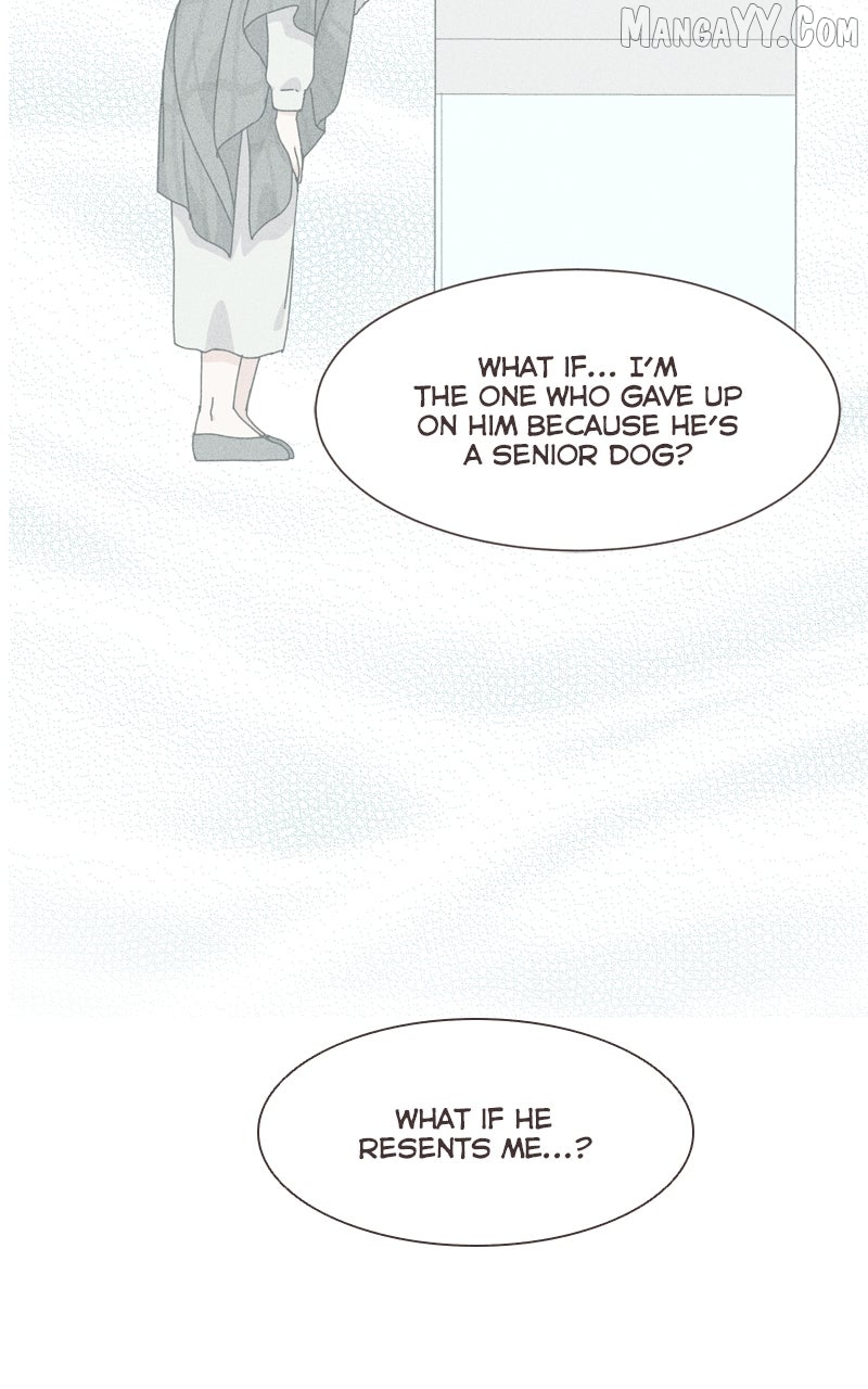 The Dog Diaries Chapter 231 - page 42