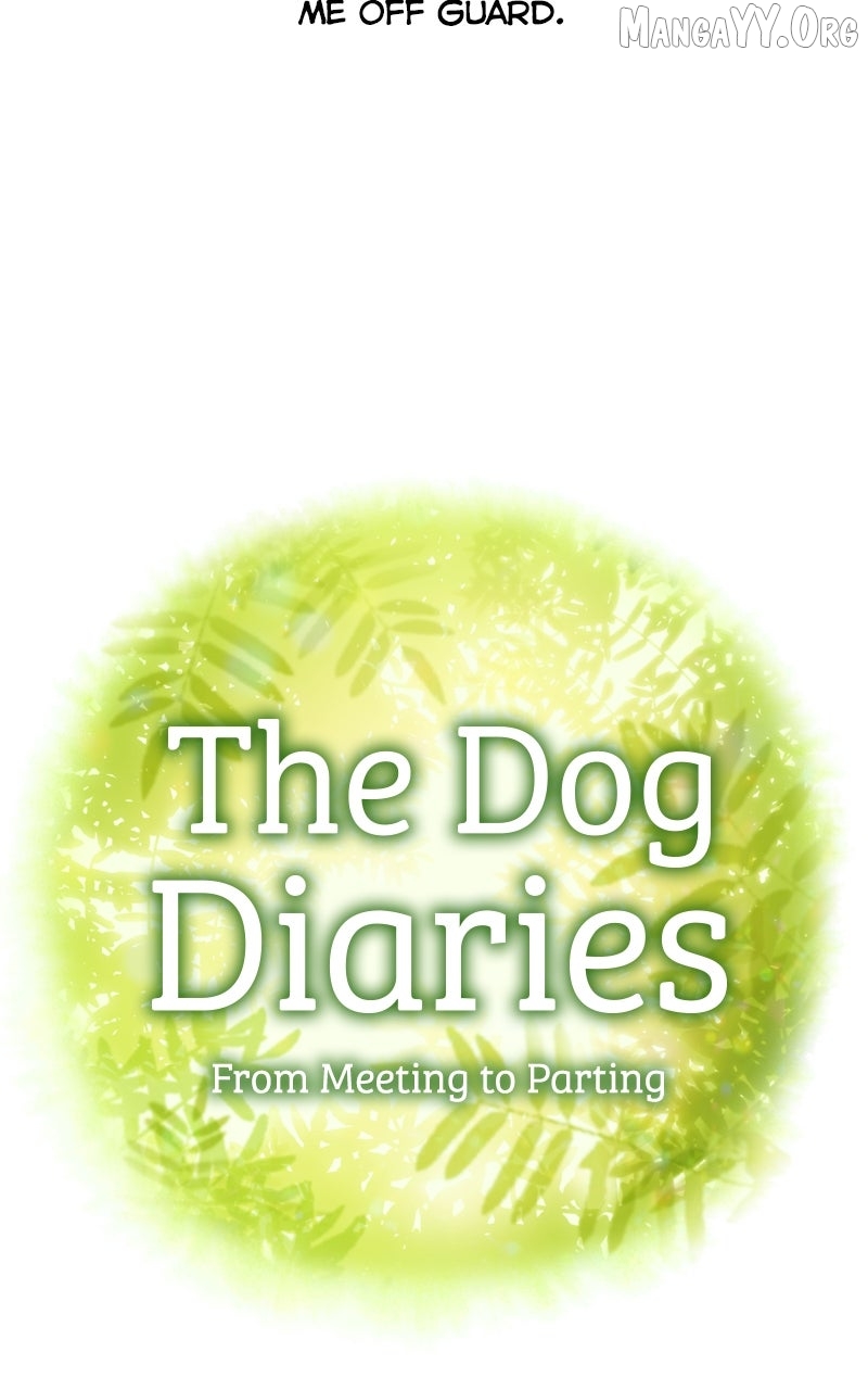 The Dog Diaries Chapter 232 - page 44