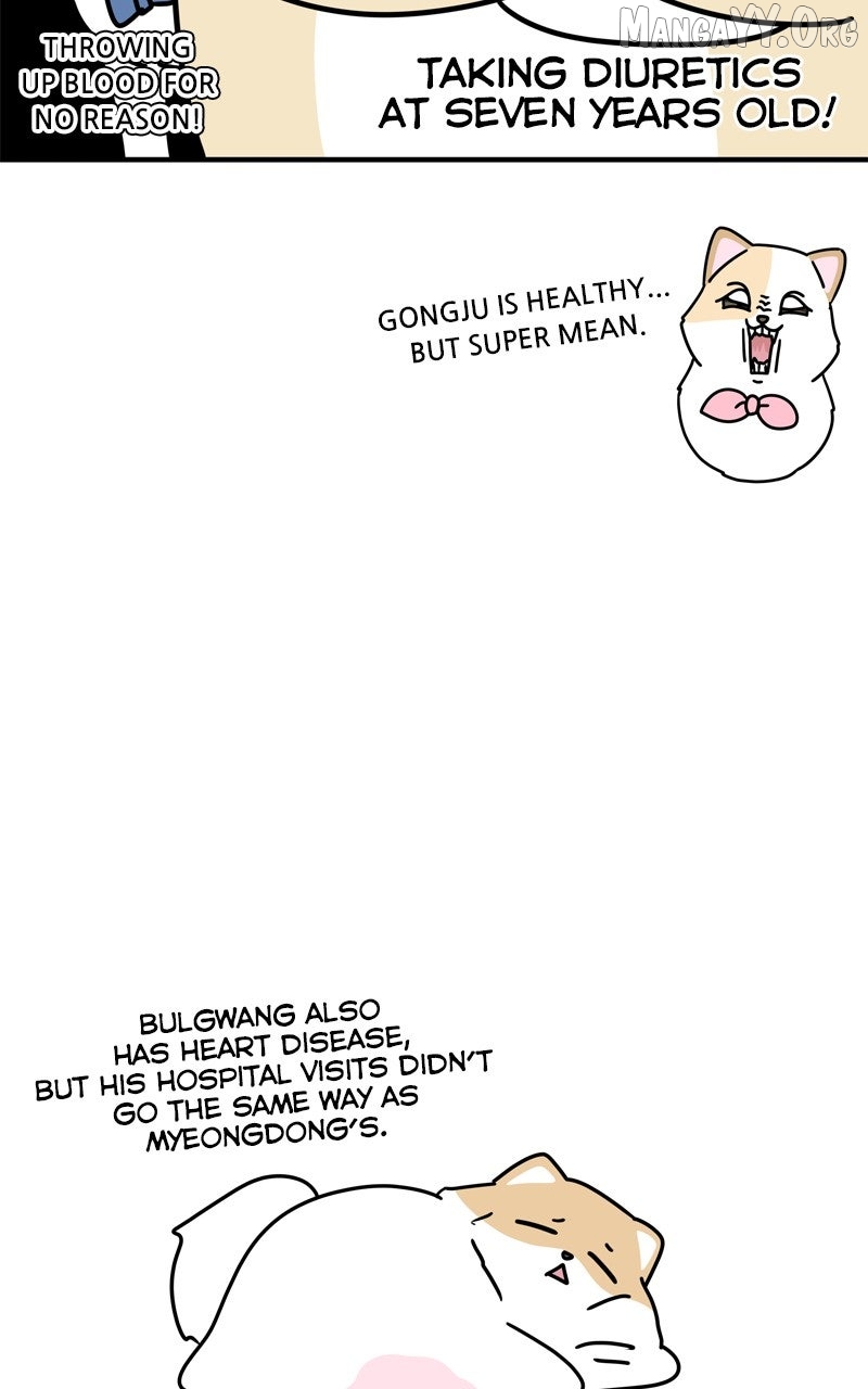 The Dog Diaries Chapter 234 - page 5