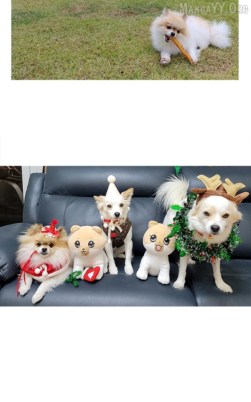 The Dog Diaries Chapter 234 - page 63
