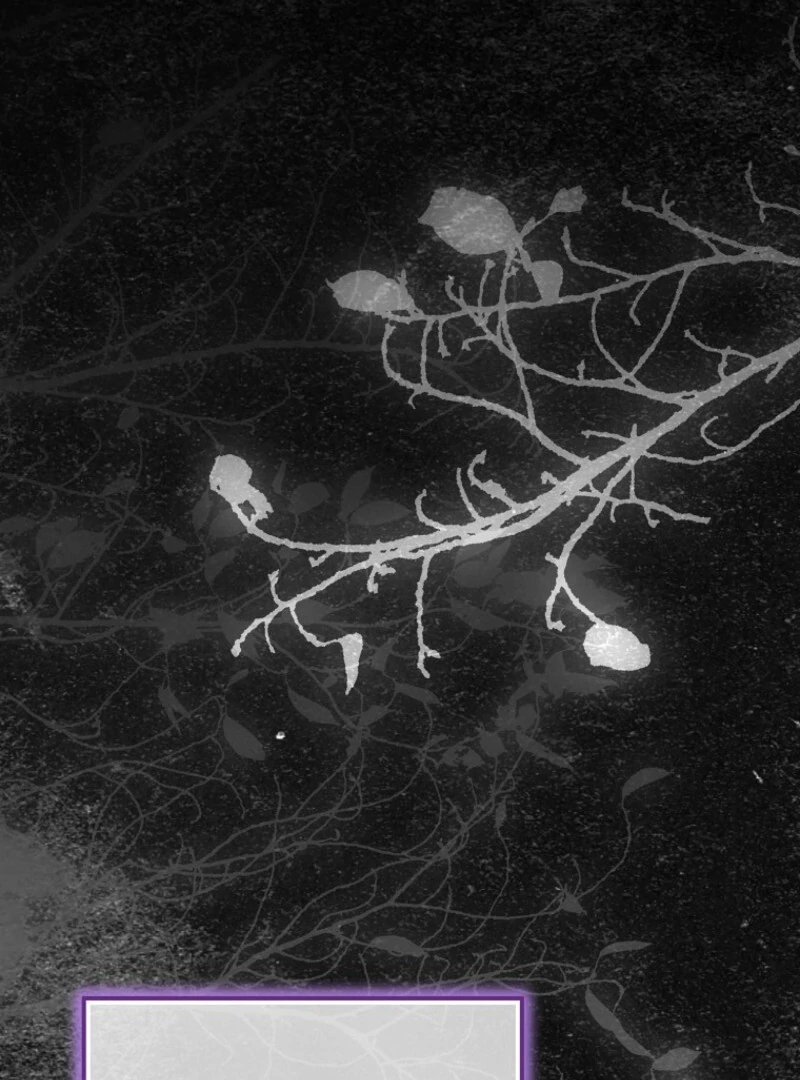 A Terminally Ill Villainess Refuses to Be Adopted Chapter 71 - page 63