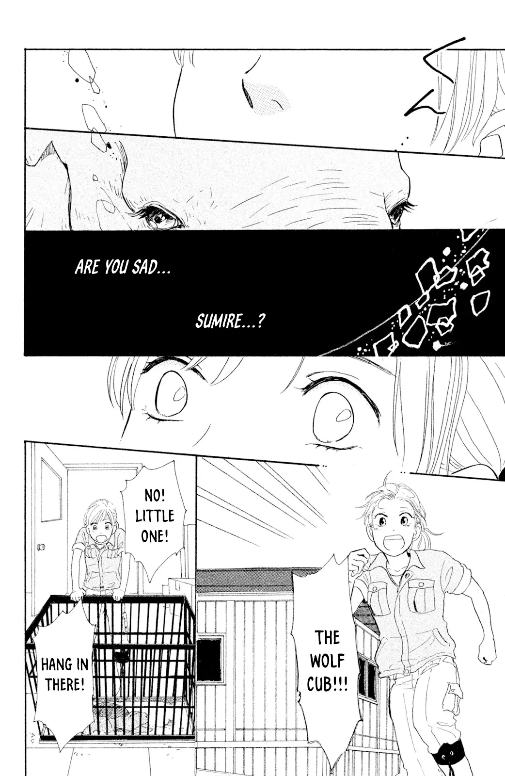 Kemono Michi (Saku Yamaura) Chapter 7 - page 17