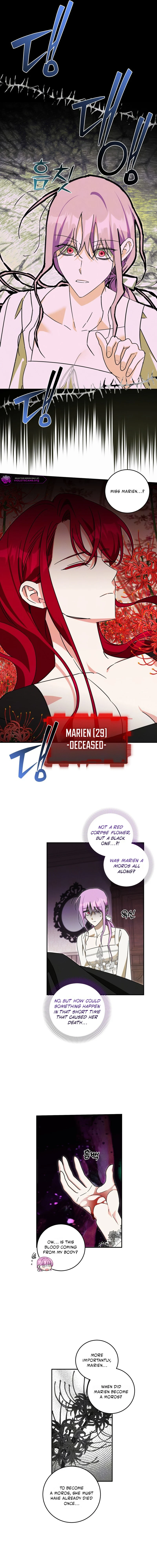 How to Protect the Master of the Monster Mansion Chapter 73 - page 8