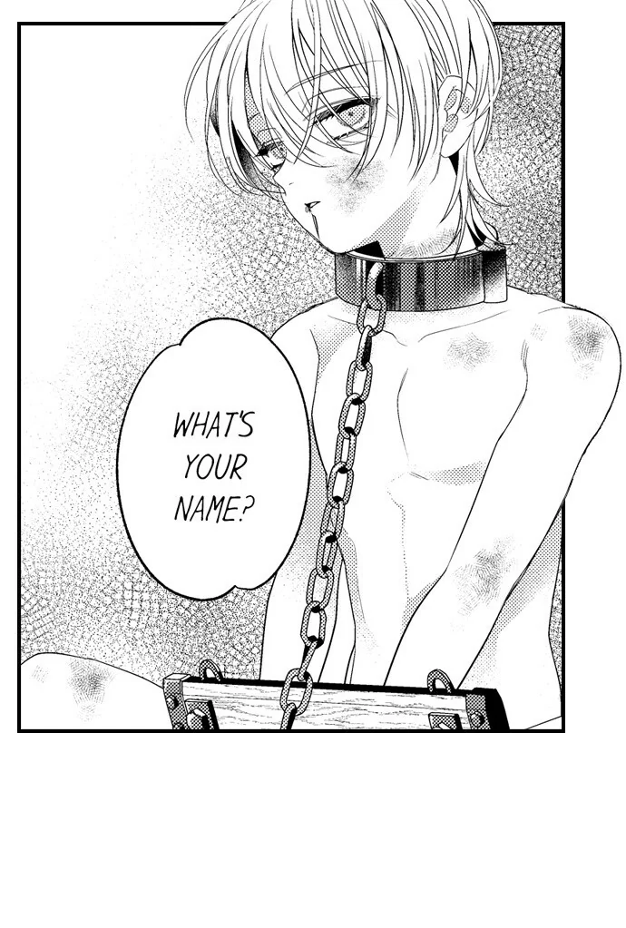 Love Gamble With the Mafia Chapter 49 - page 14