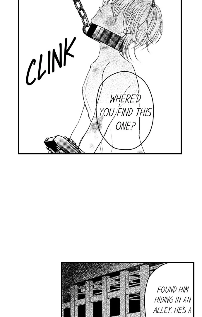 Love Gamble With the Mafia Chapter 49 - page 9