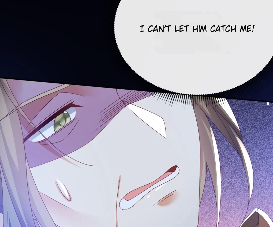 It Is Said That I Am a Fairy Princess Chapter 70 - page 66