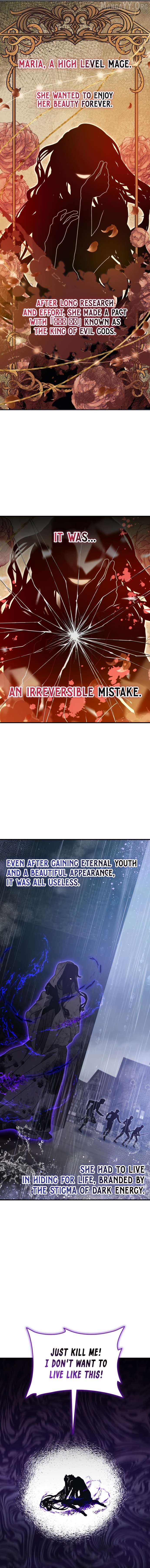 I Become a Legendary Arch Mage by Reading a Book Chapter 63 - page 8