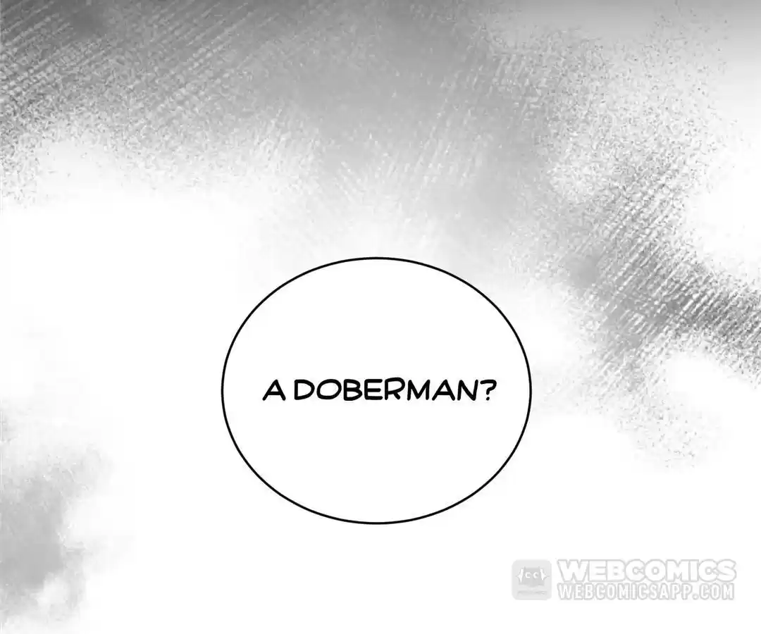 The Man Is A Real Dog Chapter 42 - page 115