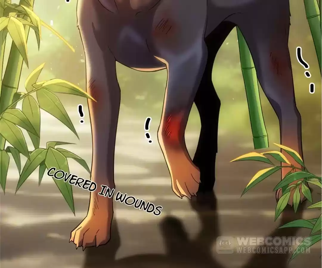 The Man Is A Real Dog Chapter 42 - page 59