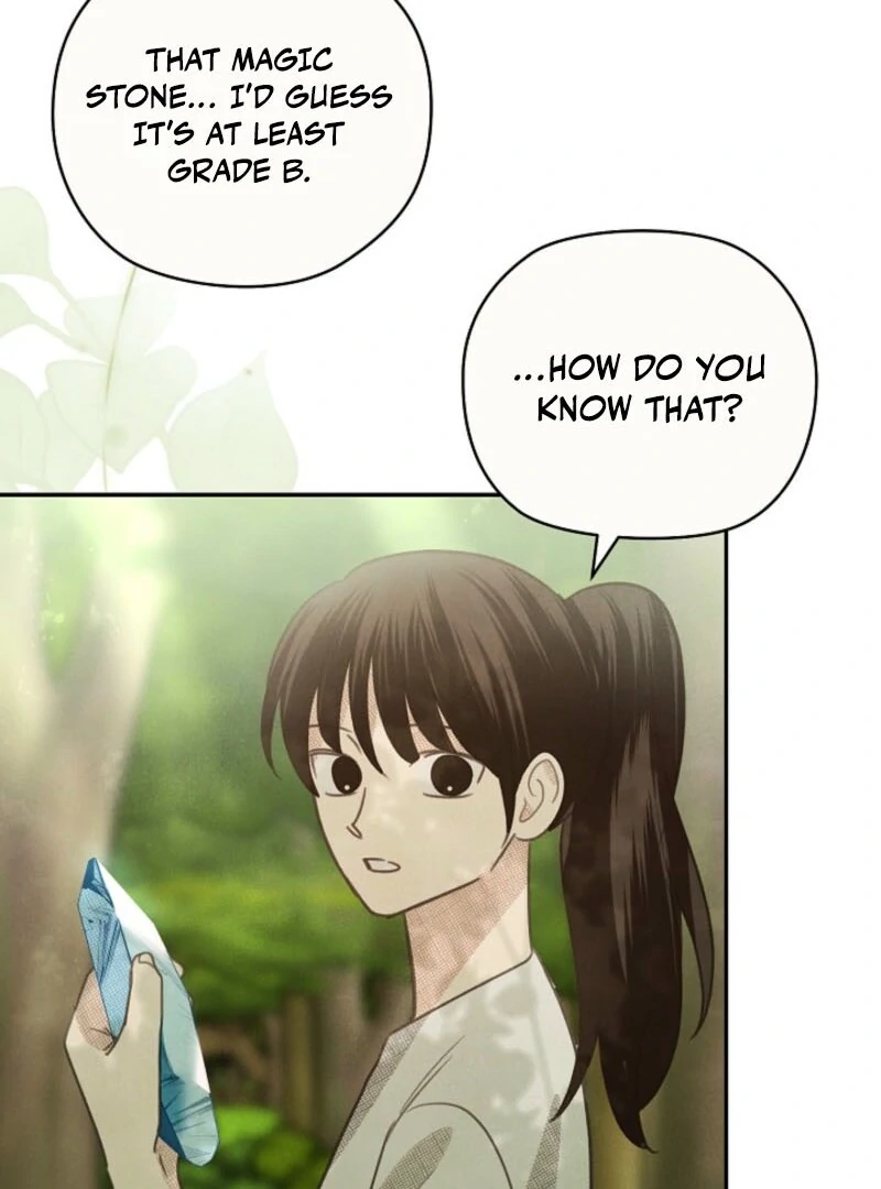 S-Class Spirit Master’s Taming Diary Chapter 48 - page 18