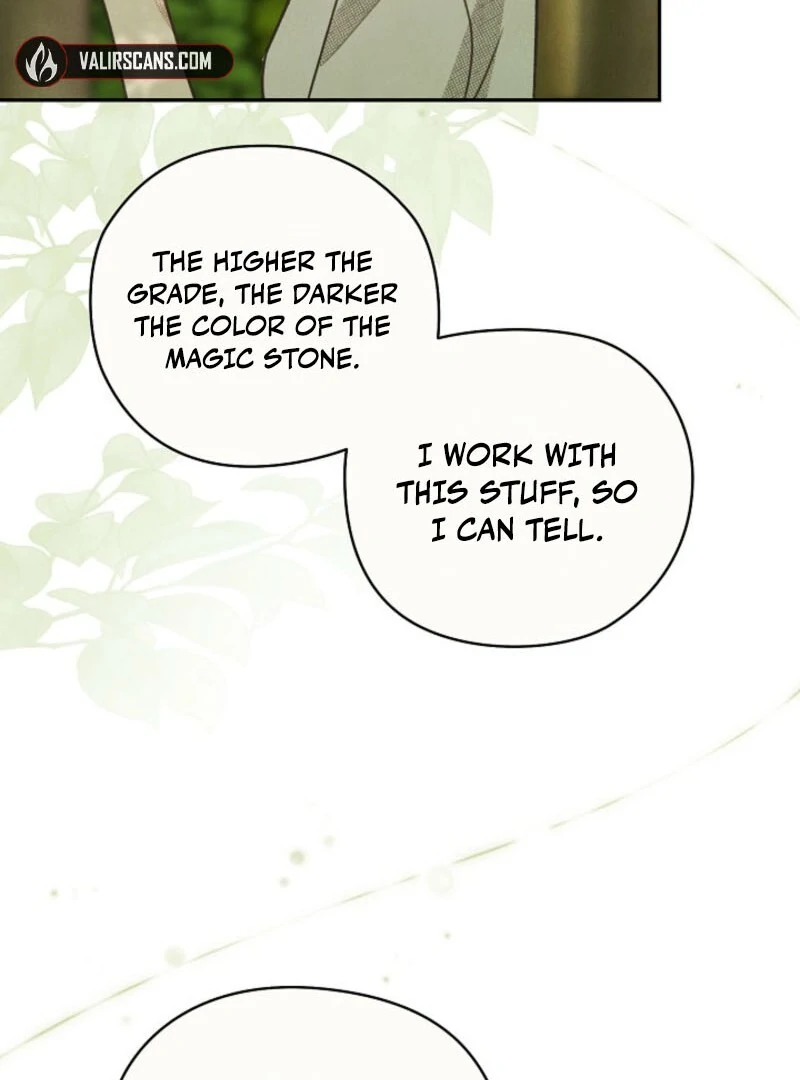 S-Class Spirit Master’s Taming Diary Chapter 48 - page 19