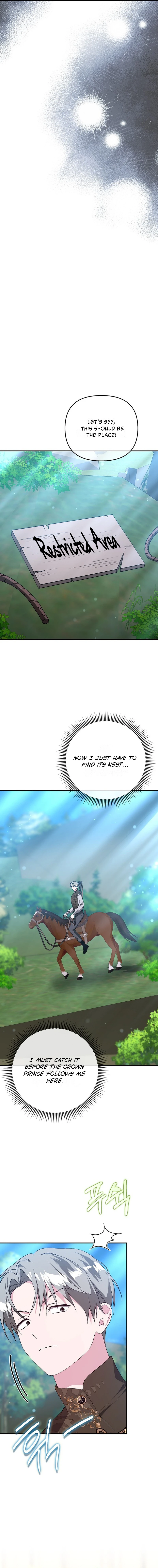 The Villainess Hides Her Wealth Chapter 47 - page 11