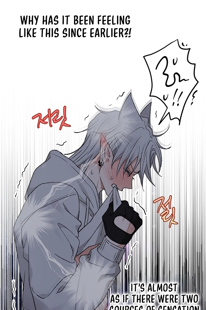 The Mating of Elves Chapter 56 - page 20