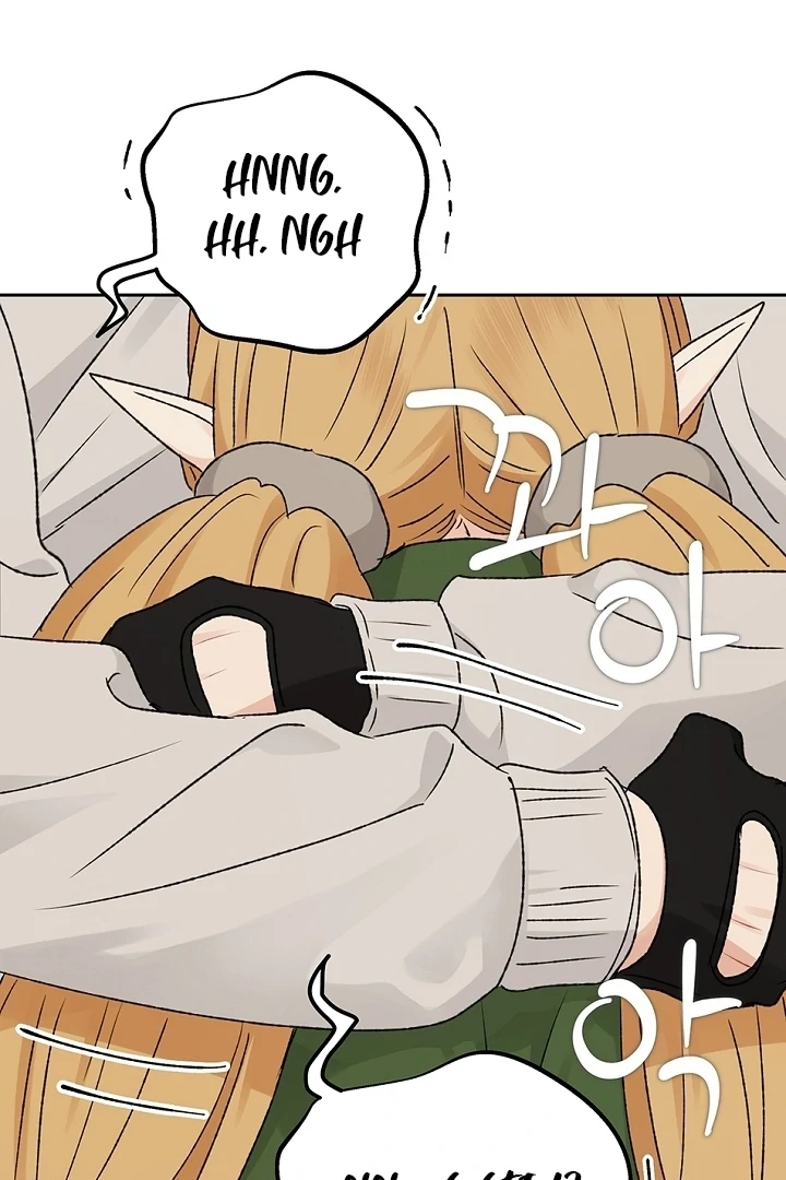 The Mating of Elves Chapter 56 - page 66