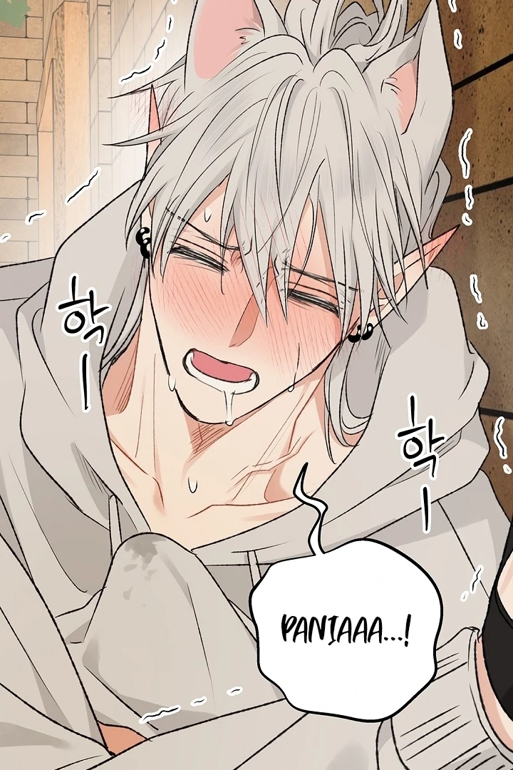 The Mating of Elves Chapter 56 - page 79