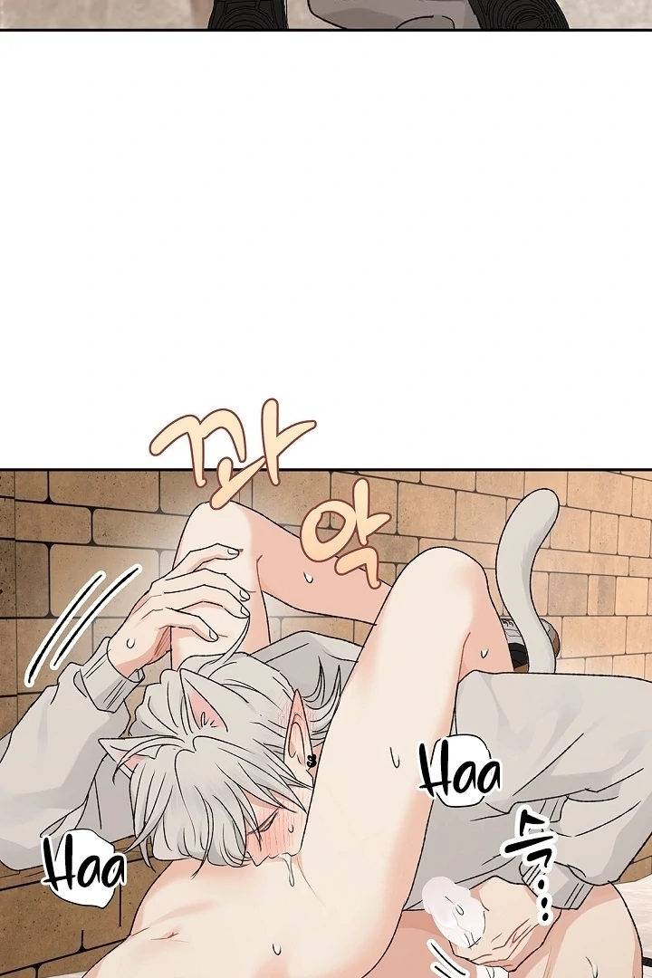 The Mating of Elves Chapter 58 - page 14