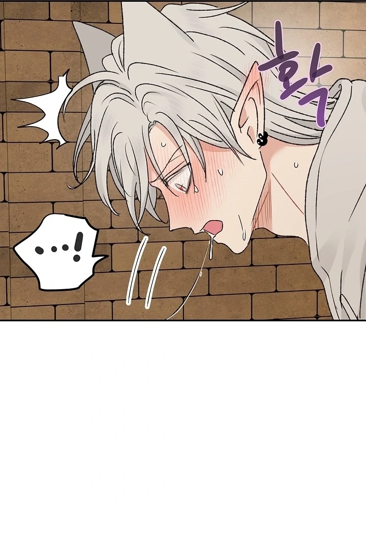 The Mating of Elves Chapter 58 - page 41