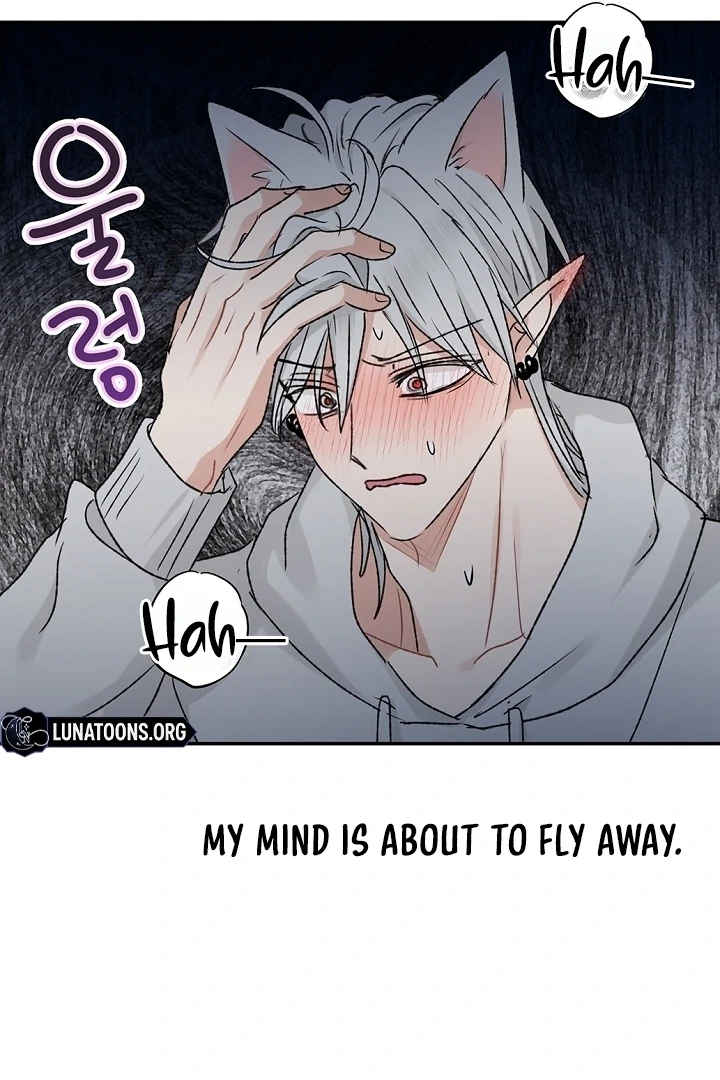 The Mating of Elves Chapter 58 - page 68