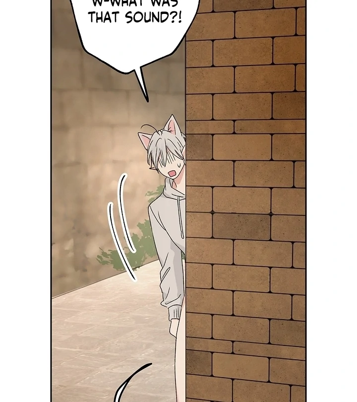 The Mating of Elves Chapter 58 - page 80