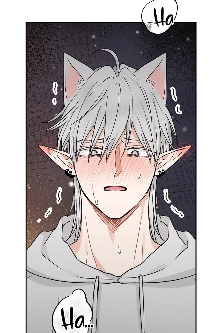 The Mating of Elves Chapter 58 - page 85