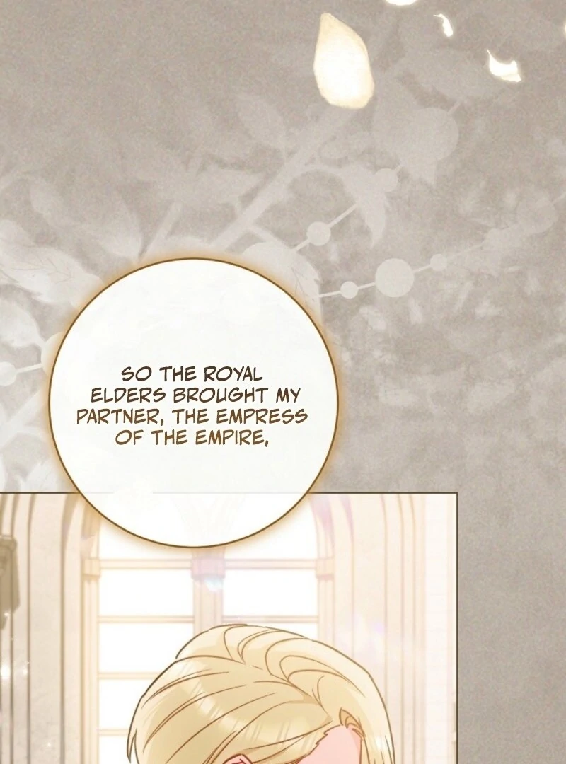 Royal Shop of Young Lady Chapter 189 - page 18