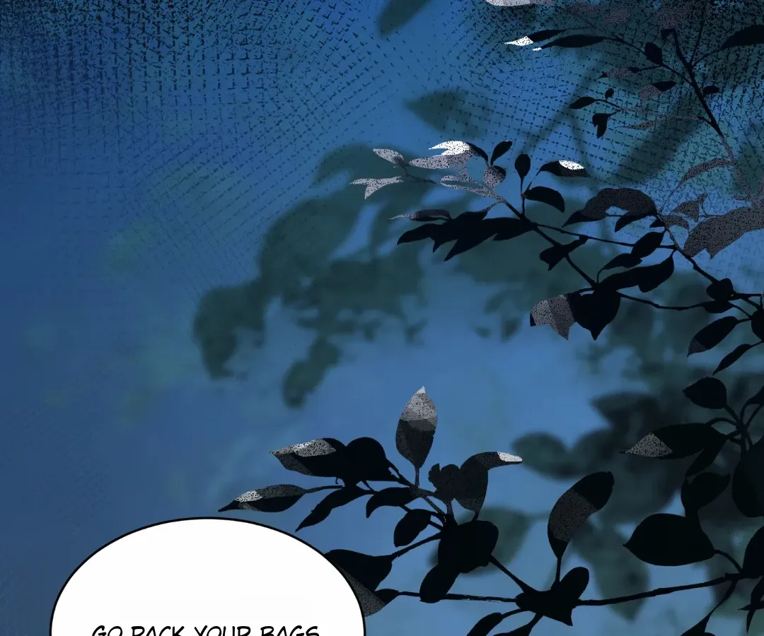 The Substitute Bride And The Overly affectionate Husband Chapter 57 - page 152