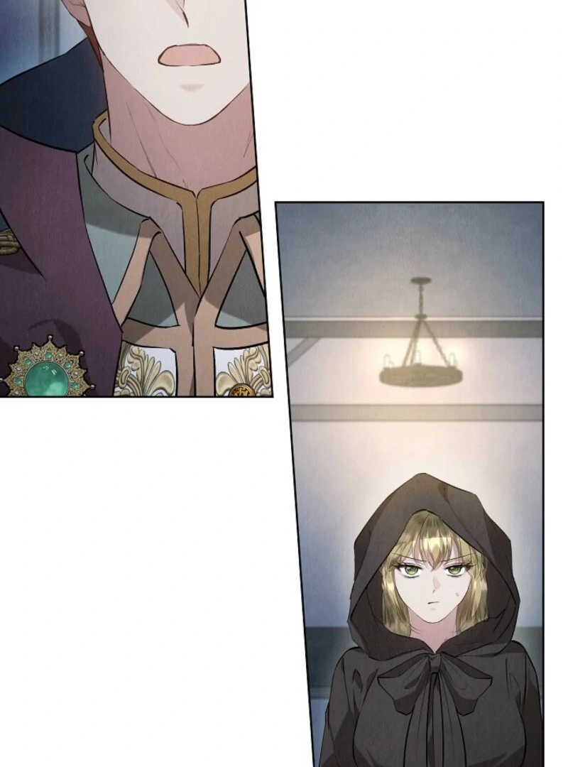 The Extra Decided to Be Fake Chapter 47 - page 41