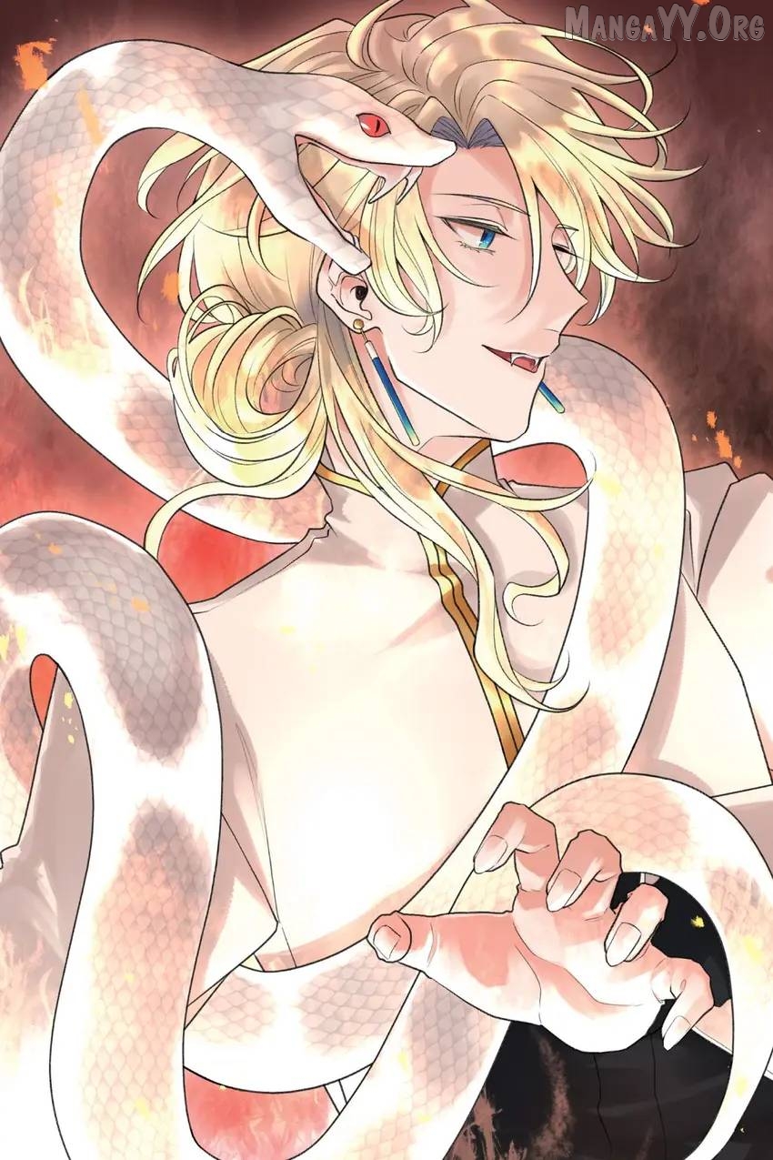 The young lady, who was blessed by the Gorilla God, is adored in the Royal Knight Order. Chapter 31 - page 4