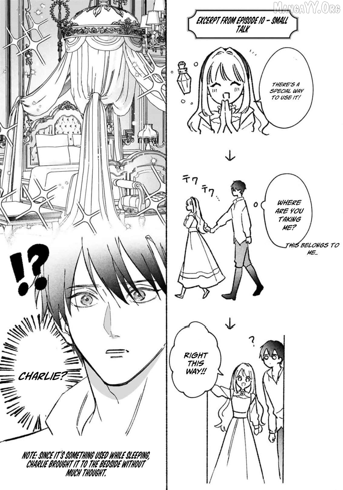 The Noble Maid Crosses Boundaries and Wins the Love of the Knight Duke from the Enemy Kingdom Chapter 10.5 - page 3