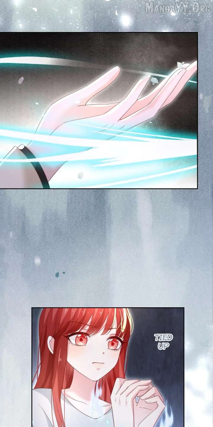 Cynical Master Raises Rabbit Spirit Chapter 81 - page 4