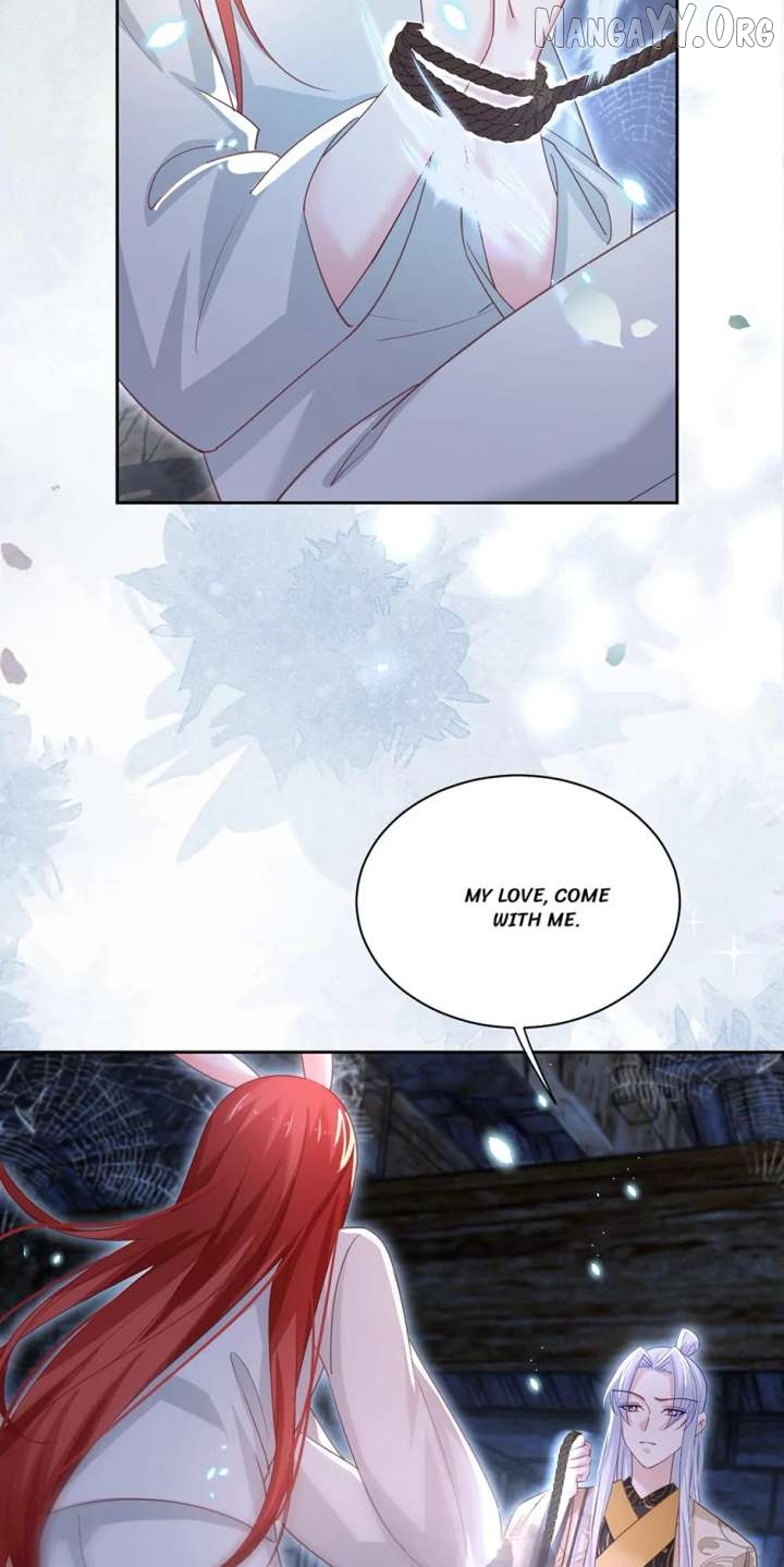 Cynical Master Raises Rabbit Spirit Chapter 81 - page 5