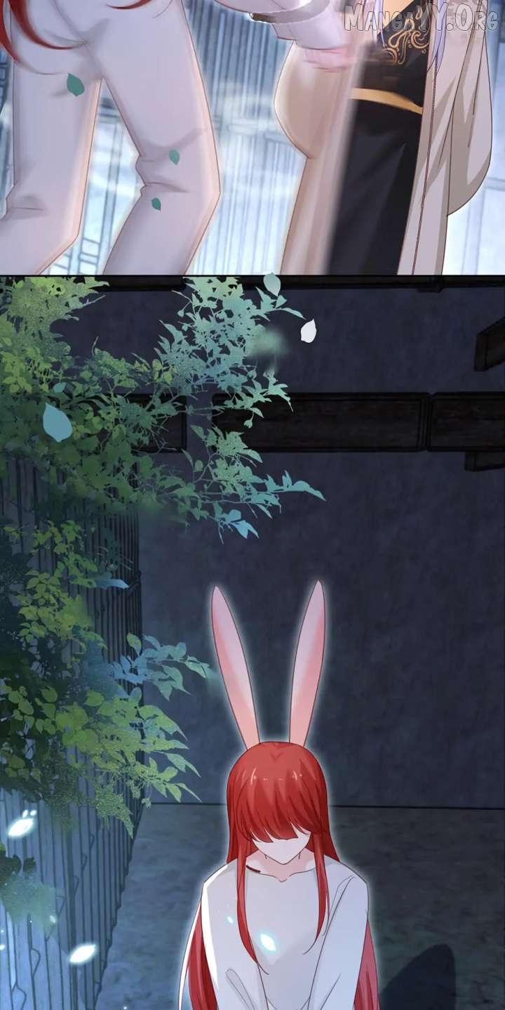 Cynical Master Raises Rabbit Spirit Chapter 81 - page 6